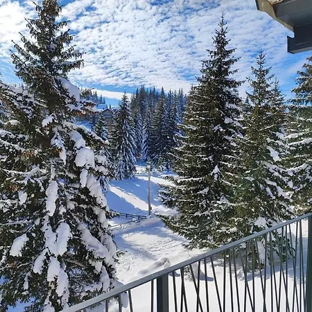 Go By Olympic Gardens * Jahorina